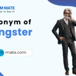 synonyms for gangster