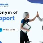 synonyms for rapport