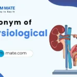 synonyms of physiological