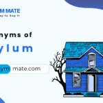 synonyms of asylum