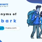 synonyms of embark
