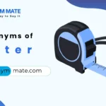synonyms of meter