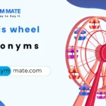 ferris wheel synonyms