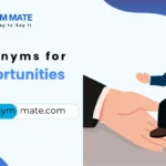 synonyms for opportunites
