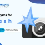 synonyms for flash