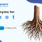 synonyms for root