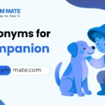 synonyms for companion
