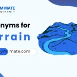 synonyms for terrain