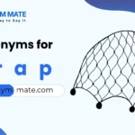synonyms for trap